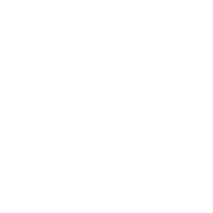 link-icon
